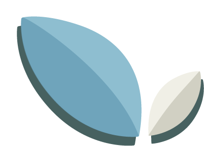 Spring Security and Spring Boot Freelancer